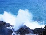 Mini Circle Island with Scenic Shores Tour Mini Circle Island with Scenic Shores Tour